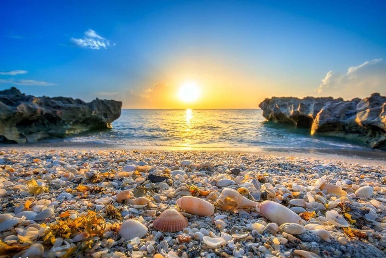 פאלם ביץ' גרדנס 4Br Private Guest Suite Pool Pga Beaches מראה חיצוני תמונה